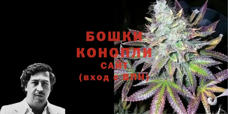 Канабис White Widow  купить наркотик  Серафимович 